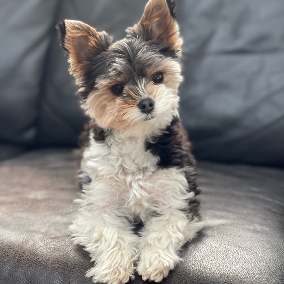 Meet your Posher, Joanne - Picture 11 of 12